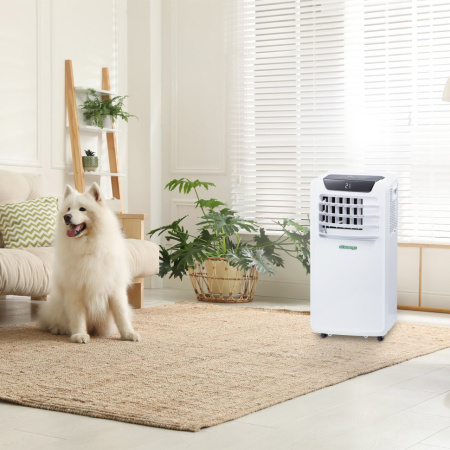 Мобильный кондиционер AC Electric ACE-09 CY/N6